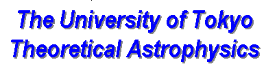 theoretical astrophysics group, university of tokyo