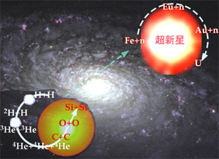 Coevolution of galaxies and stars